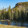 Iconic Yellowstone 2012-08 Yellowstone-664