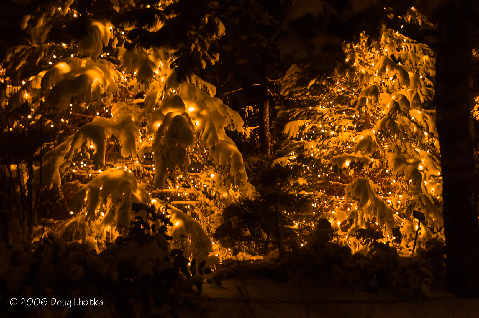 Friday Photo - Merry Christmas from the Denver Botanic Gardens